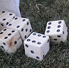 How I Made a Yard Dice Game